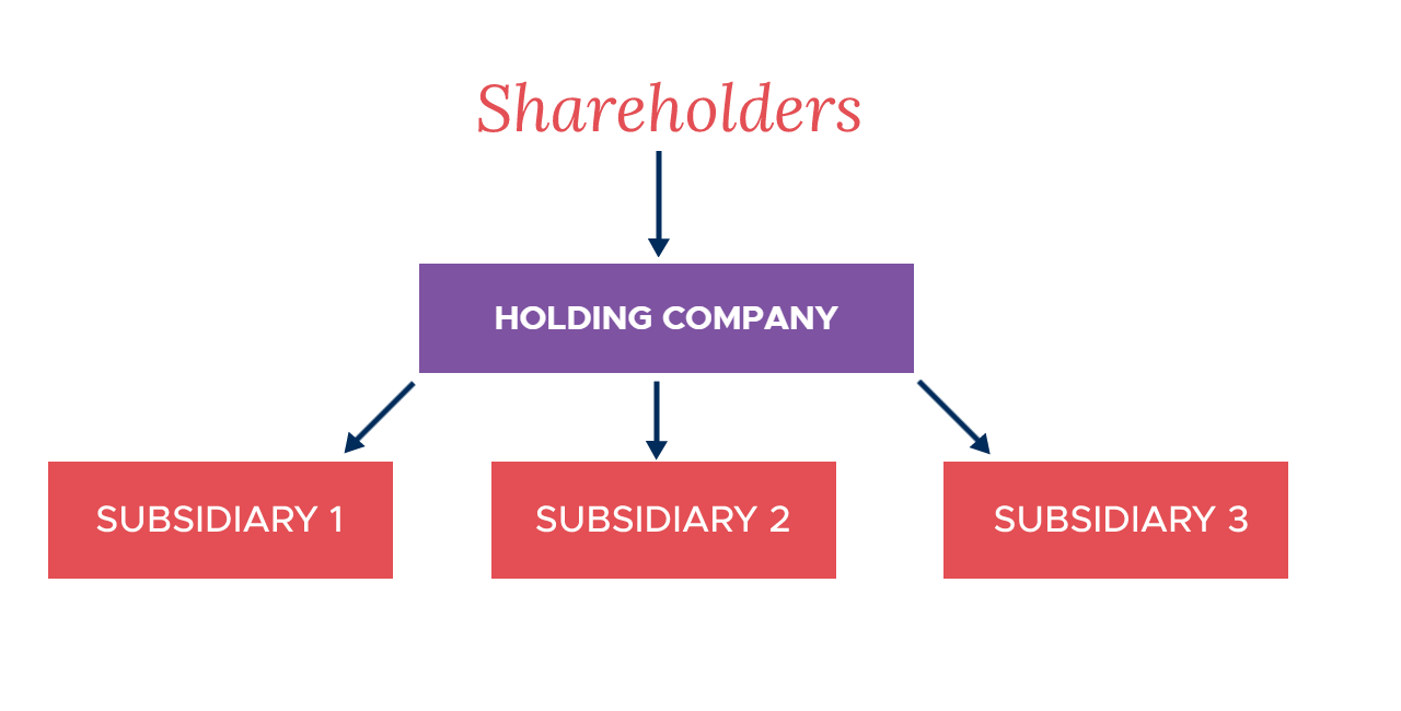 Holding Company Explained - Key Advantages And Eligibility